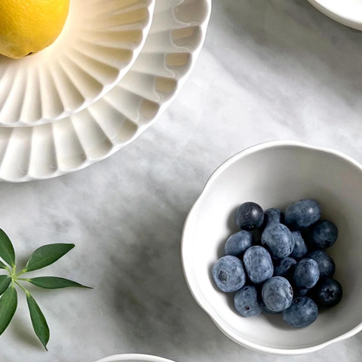 Edel Collection 22-Piece Fine Bone China Dinnerware Set | Made in Korea